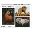 Παζλ Ambassador Wildlife 3x1000 Pieces (Donal Boyd)