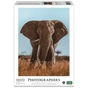 Παζλ Ambassador African Elephant 1000 Pieces (Donal Boyd)