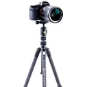 Τρίποδο Vanguard VESTA TB204CB Tripod, Carbone
