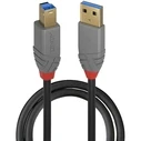 Καλώδιο USB Lindy Anthra Line Type A to USB Type B - 2 m
