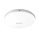 Access Point Draytek Vigor AP1062C WLAN-AX MESH Outdoor AP PoE (ohne NT) retail