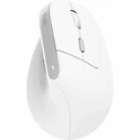 Ποντίκι Ασύρματο Trust Bayo Ii Ergonomic Wht
