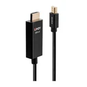 Καλώδιο DisplayPort Lindy - HDMI - 1 m