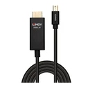 Καλώδιο DisplayPort Lindy - HDMI - 1 m