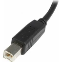 Καλώδιο USB StarTech 2.0 A to B M/M - 2 m