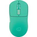 Gaming Ασύρματο Ποντίκι Fury Tanto T4 μέντα