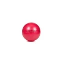 Μπάλα Γυμναστικής MDH ABS rehabilitation ball with pump 55cm