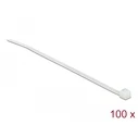 Δεματικά Καλωδίων Delock 100mm 100pcs transparent