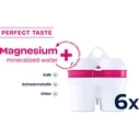 Ανταλλακτικά Φίλτρα Νερού BWT 125681749, 6 pcs. Magnesium mineralized