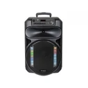 Karaoke Trevi Trolley speaker XF-1550