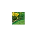 Ρολό Περίφραξης Gardena lawn edging green roll 20 cm high 9 m long