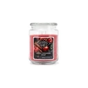 Κερί Candle Brothers Αρωματικό Apple Cinnamon Crisp - 510g