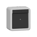 Διακόπτης GIRA 310630 rocker switch AusWe WG AP Gray