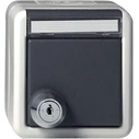 GIRA 456730 SCHUKO KD Πρίζα Schutzkontakt με καπάκι, κλείδωμα (KD - κωδικοποίηση) και πεδίο σήμανσης, επιφανειακή, γκρι