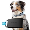 INVOXIA Mini Tailz Καρδιο- και Αναπνευστικός Παρατηρητής Σκύλου LWT6 (1 χρόνος συνδρομή)
