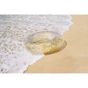 INTEX Sparkling Glitter Tube, Transparent (119 cm) - SKU 56274