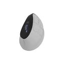 Natec Euphonie Pro Wireless Mouse White