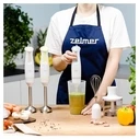 Zelmer Pulsar Deluxe Max ZHB4562S Hand (Immersion) Blender — Gray
