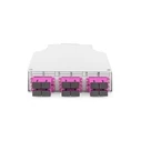 DIGITUS LWL Hutschienenbox MM-OM4, equipped with SC adapters and pigtails (DN-963850-4)