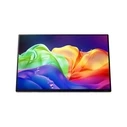 Acer PE160Ws 16 ιντσών φορητή OLED οθόνη WUXGA (1920x1200) 60Hz  Ασημί (UM.ZP0EE.001)