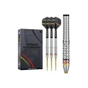 Precise180 - Steeldarts Ricardo Pietreczko - 25 γρ.