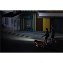 OLIGHT Baton 4 Pro
