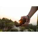 Olight Baton 4 LED Headlamp IPX8 1300lm