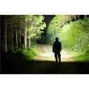 Olight Baton 4 LED Headlamp IPX8 1300lm