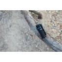 Olight Baton 4 LED Headlamp IPX8 1300lm