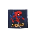 Vadobag Πορτοφόλι Spider-Man Web Hero
