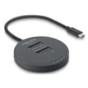 Delock Docking Station για Σκληρούς Δίσκους PCIe με σύνδεση Thunderbolt / USB-C (64364)