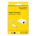 Αντάπτορας Δικτύου USB Delock -C σε RJ45 + USB-C 65402, 1000Mbps, 12cm, λευκός