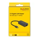 Αντάπτορας Δικτύου USB Delock 66046, USB-C, 2.5Gbps Ethernet, Μαύρος