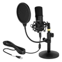 Mικρόφωνο DeLOCK studio με pop φίλτρο & αντιανέμιο 66300, πυκνωτικό, USB
