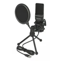 Mικρόφωνο DeLOCK studio με pop φίλτρο & αντιανέμιο 66331, πυκνωτικό, USB