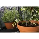 Gardena Holiday Watering Set - Αυτόματο πότισμα σταγόνας για 36 γλάστρες