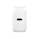 BLOW 20W USB-C PD Charger (DM-76-009)