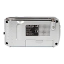 Portable Analog AM/FM/SW Radio BLOW RA7