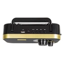 Portable Analog AM/FM Radio BLOW RA12 Black-Gold