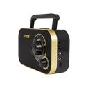 Portable Analog AM/FM Radio BLOW RA12 Black-Gold