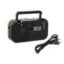 Portable Analog AM/FM Radio BLOW RA12 Black-Gold
