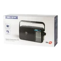 Portable Analog AM/FM Radio BLOW RA15 (DM-77-553)