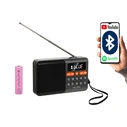 Portable analog AM/FM Bluetooth radio BLOW RA18 mini