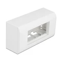 Επιτοίχιο Περίβλημα Delock για modules Easy 45 81333, 152x82mm, λευκό