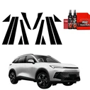 GrizzGlass BodyShield Black Car Pillars Protective Film BAIC BEIJING 5 (2023-2026) [12in1]