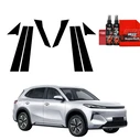 GrizzGlass BodyShield Black Car Pillars Protective Film Geely Starray EM-i (2025-2026) [8in1]