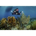 Sealife Flex Connect Flex Arm for Action Cameras (SL9901)