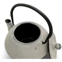 Bredemeijer Jang Cast Iron Teapot with Filter, Grey, 1100 ml (Model 153019)