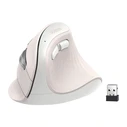 UGREEN MU008MINI BT 2.4G Vertical Mouse (white)