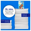 Epson 250 Γνήσιο Μελάνι Εκτυπωτή InkJet Κίτρινο (C13T16N44010)